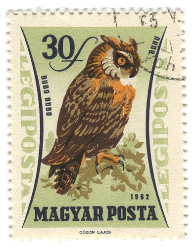 Hungary Postage Stamp: owl by karen horton