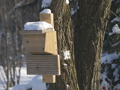 bird feeders and nesting boxes