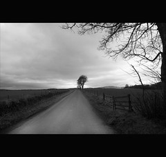 The Road to Dark Dreams - Tayside Scotland by idg