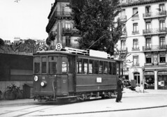Trams de Genève ligne 8 (ligne disparue)
