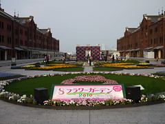 Flower Garden 2010