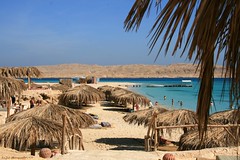 Mahmya-Island, Red Sea