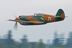 Curtiss P-40 Warhawk/Tomahawk