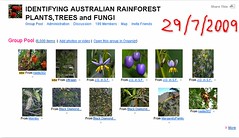 Milestones - Identifying Australian Rainforest Plants, Trees and Fungi Group 