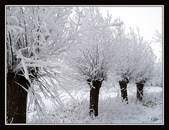 Winter images