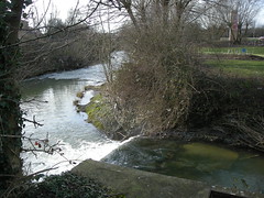 River Swift