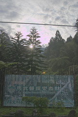 台灣(Taiwan)-馬武督探索森林