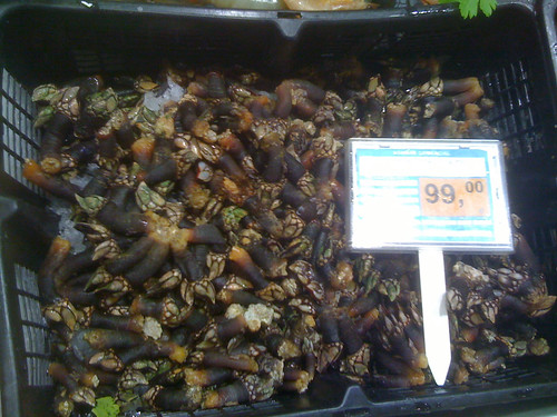 Barnacle Prices 99€/kg ($65/lb)