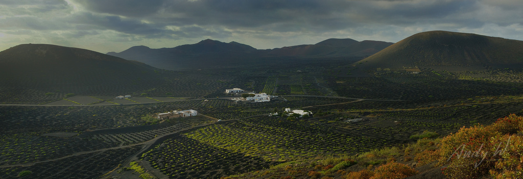 Panorama de los viñedos de La Geria - Lanzarote, Islas Canarias