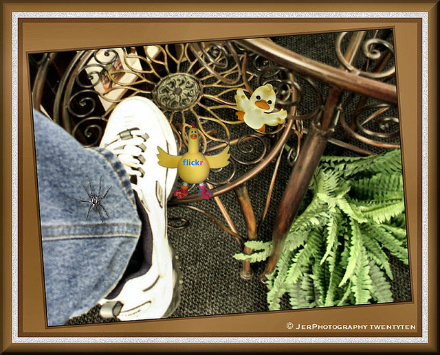 Bench Monday #29 | Flickr - Photo Sharing!
