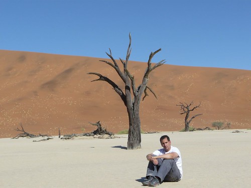 In the Namib Desert (Namibia)