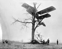 An Army "Jenny" crashed in a tree