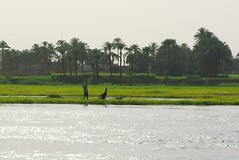  النيل (Nile)