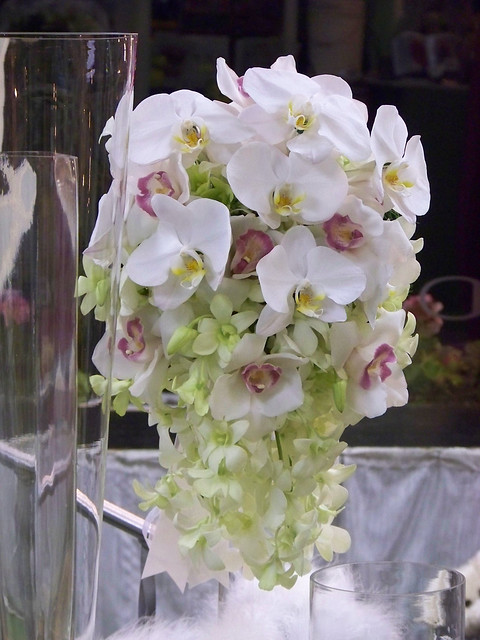 Cascading orchids wedding flower arrangements from Alan 39s Rumson Florist