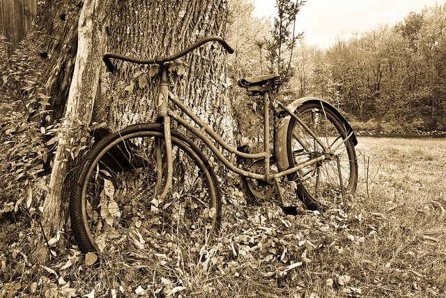 Found this old bike leaning against a tree out in the woods near an even 