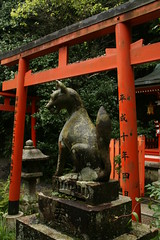 Kyoto Otoyo shrine