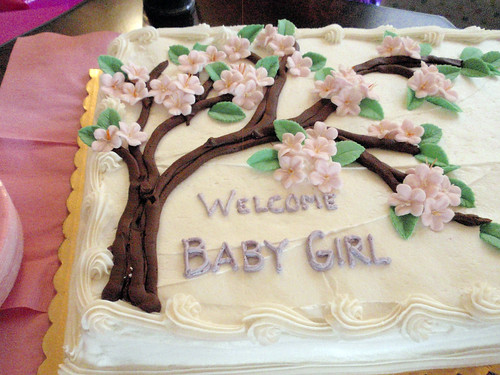 baby shower pictures for a girl