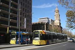 Trams - Adelaide