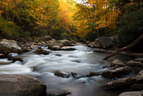 Ohiopyle during Fall..
