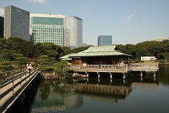 Tokyo Hamarikyu garden
