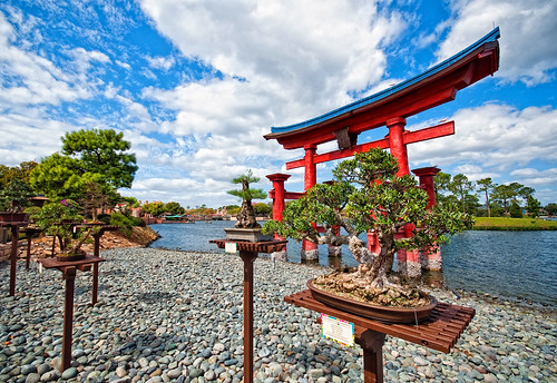 Bonsai And The Tori Gate (Explored)