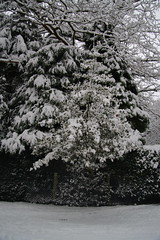 Poynton in the Snow