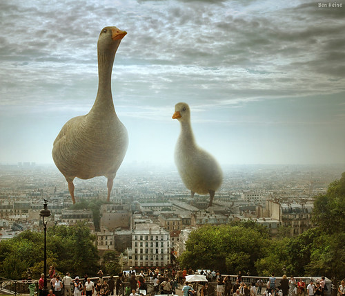 I Have Also Seen This in Paris :D by Ben Heine