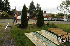 Garden for the Buddha, creating a garden from scratch for the benefit of all scentient beings, Seattle, Washington, USA