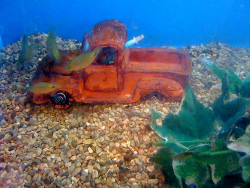 Underwater truck