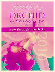 Longwood Gardens Orchid extravaganza 2010