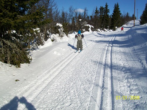 Young skier par gnisten2