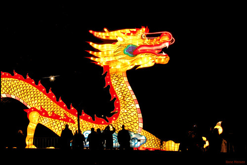 China festival of lights, dragon