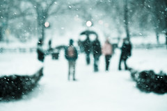 Snowpocalypse