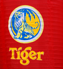 Chinese New Year - The Year of the Tiger