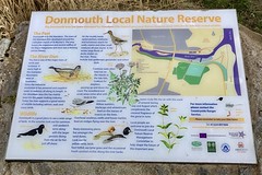 Donmouth Nature Reserve Aberdeen  Scotland