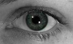 2010 01 10 - 0445b - Russett - Eye