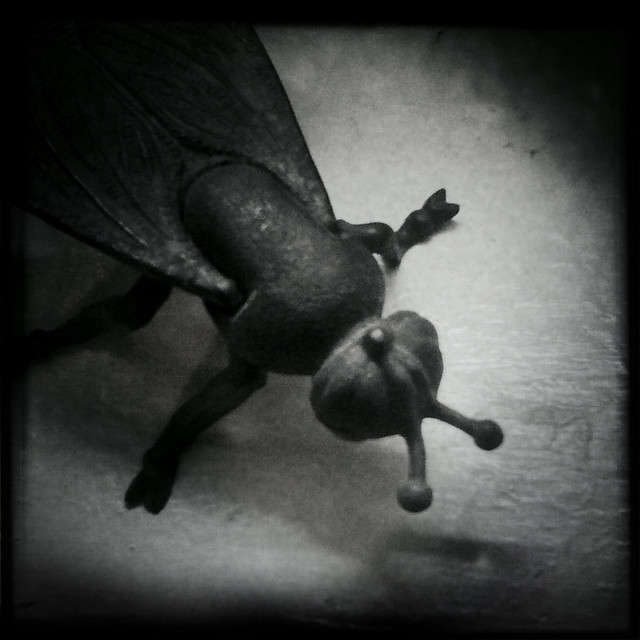The Fly, Pose 2 (Hipstamatic iPhone Capture)