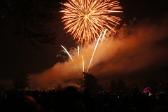 Carshalton Fireworks 2010