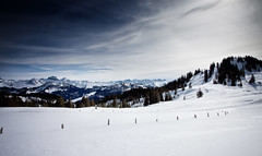 Swiss Winter Landscapes