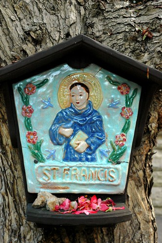 Saint Francis plaque, flowers, Meditation Garden - Self-Realization Fellowship, Encinitas, California, USA by Wonderlane