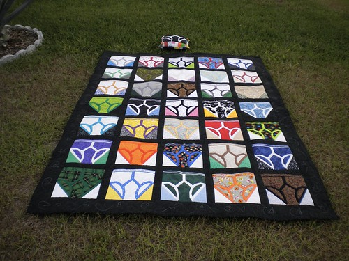 My Y-Front Quilt