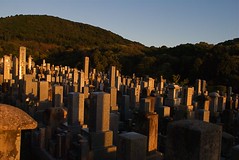Higashi Otani Cemetery