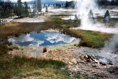 Thermal Features of Yellowstone