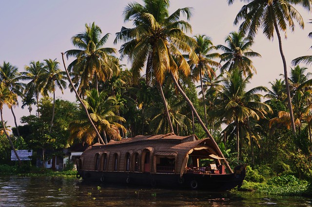 cruise on the backwaters