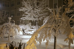 Event: Snowmaggedon 2010