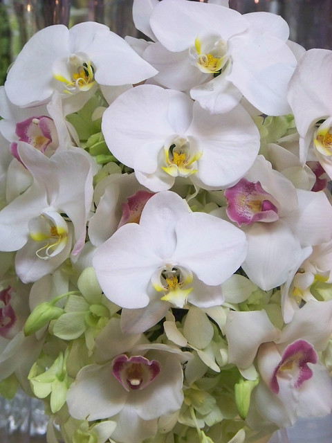 Orchid Wedding Flower Arrangements Flickr Photo Sharing
