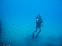 underwater20090816-3