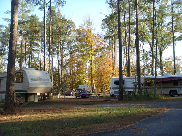 Campground C at Chippokes Plantation State Park