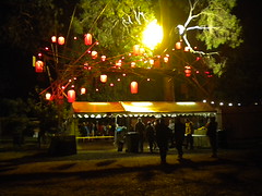 Womadelaide 2010