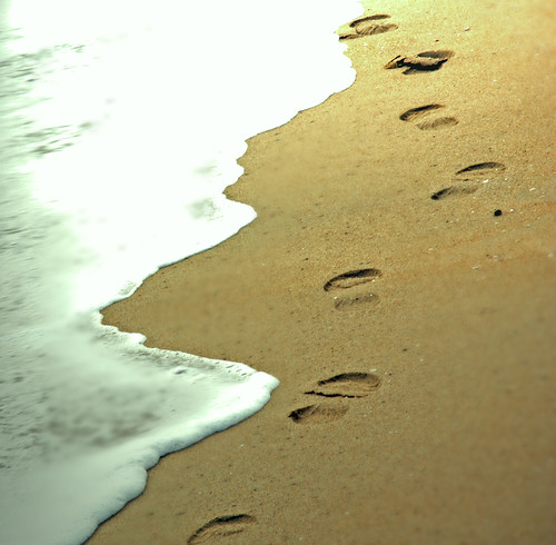 where does these footsteps lead to  ?